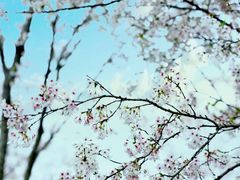 -武汉紫薇都市田园