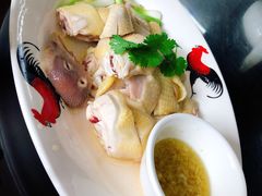 金牌盐水鸡-红星光发煲仔饭(文海店)