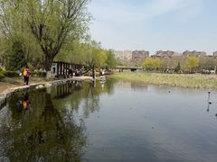 -前关湿地公园
