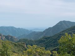 -大岭沟猕猴桃谷风景区