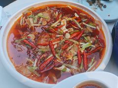 -院8里·小乐园家常味川菜(鹭洲里店)