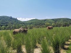 -南泥湾风景区