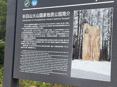 -峡谷浮石林景区
