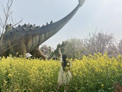-自然谷恐龙园