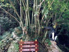 景点-武当山风景区