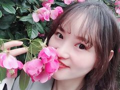 -香雪海