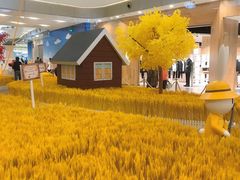 -凯德广场(西城店)
