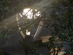 -贺绿汀音乐厅