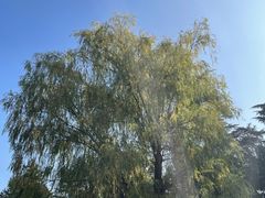 -济南南郊宾馆
