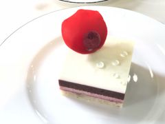-BLACKSWAN黑天鹅(环球店)