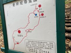 -龙道沟景区