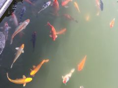 -檀园
