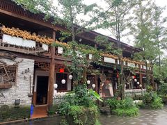 -青城甲(青城山店)