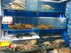 水产区-蚝专家(北滘店)