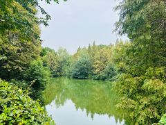 -狼山风景名胜区