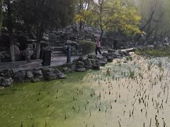 -莲湖公园