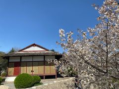 -北京世界公园