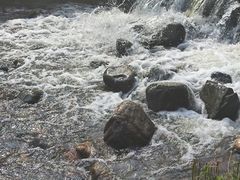 -长白岛森林公园