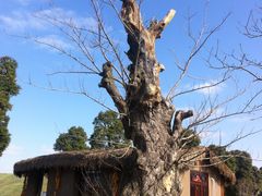 -南通洲际绿博园