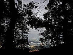 -阳台山森林公园