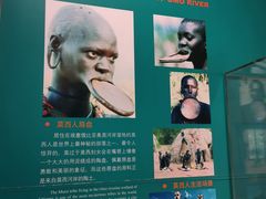 -中国湿地博物馆