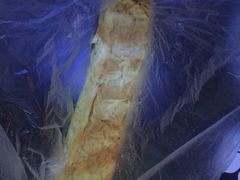 -夏福记道口烧鸡(北行店)