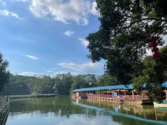 -广州市流溪河国家森林公园
