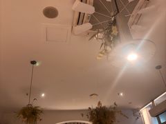 -春树下·树屋花房西餐厅(罍街AS1980店)