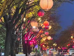 -魏家凉皮(大雁塔南广场餐厅)