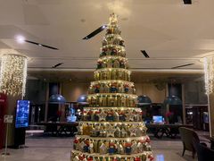 -新加坡瑞士史丹福酒店