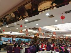 -黄埔华苑酒家(黄埔店)