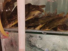 -新侗家食府(蟠桃宫店)