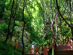 -大岭沟猕猴桃谷风景区