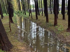 -日照海滨国家森林公园