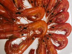-侨美食家·40年地道粤菜(珠江新城店)