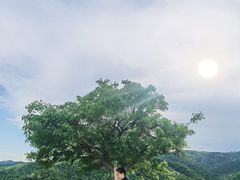 -中华福寿山