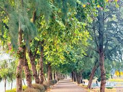 -星湖旅游景区七星岩