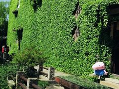 -平湖九龙山旅游度假区