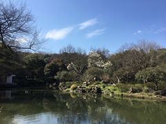 -杭州植物园