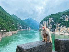 -白帝城·瞿塘峡景区