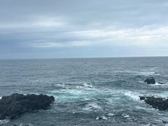 -涉地可支