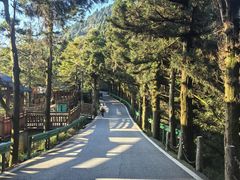 -南岳衡山风景名胜区