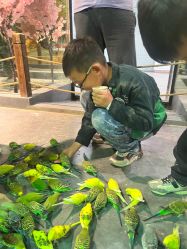 -酷嗒动物文化乐园(cutezoo西溪乐天城店)