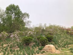-廊坊市自然公园