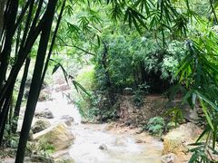 -南海湾森林生态园