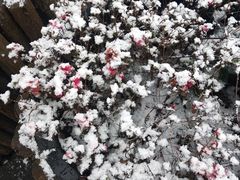 -贵阳市花溪国家城市湿地公园