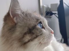 -佳雯宠物医院(四明中路分院)