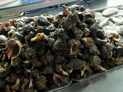 -春华海鲜城(广场西苑店)