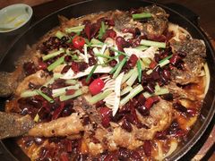 -老板恋上鱼(荣盛广场店)