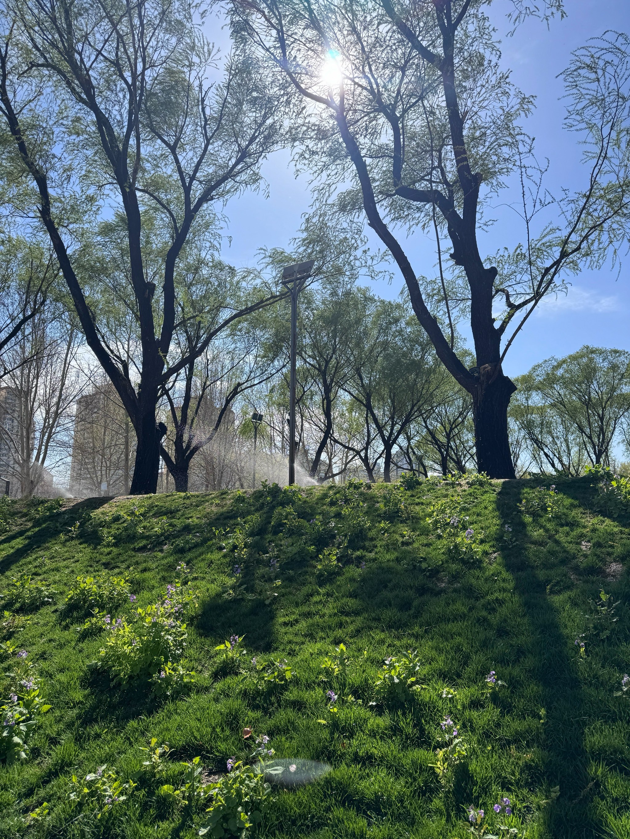 💚五环内超美还免费小动物园🦊